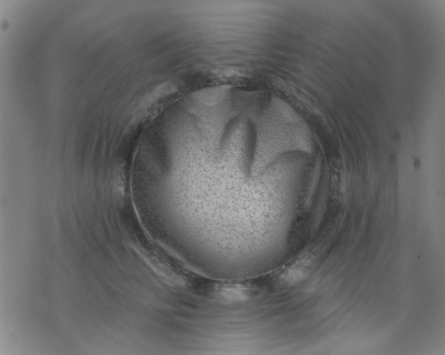 X0000076100710200610061707