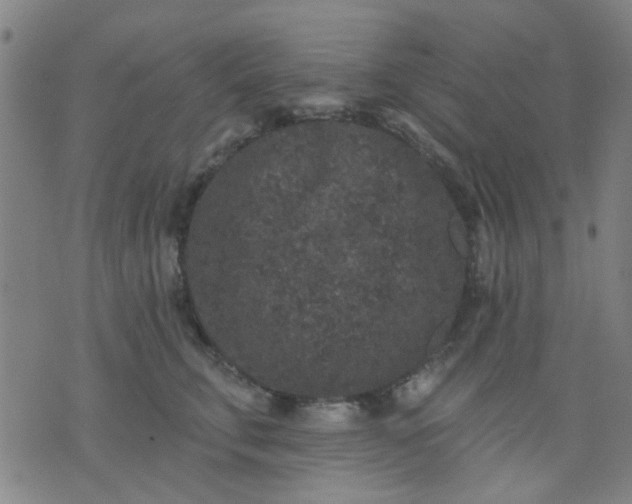 X0000076100711200610061707