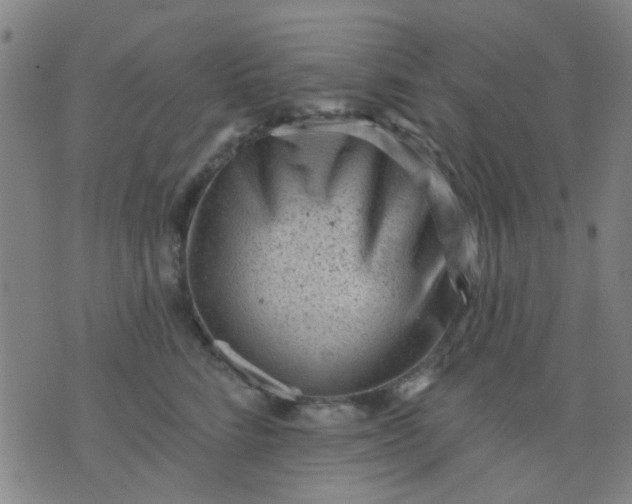 X0000076100712200610061707