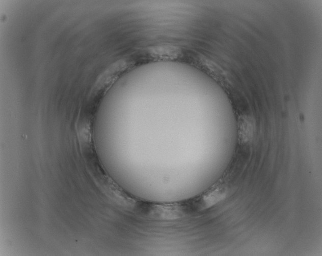 X0000076100713200610061707