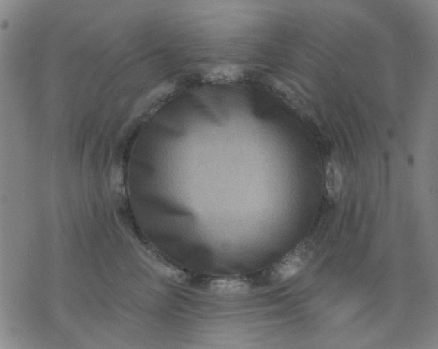 X0000076100714200610061707