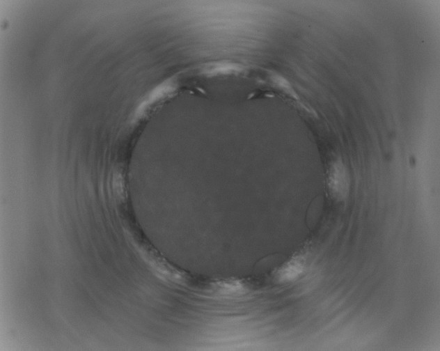 X0000076100715200610061706