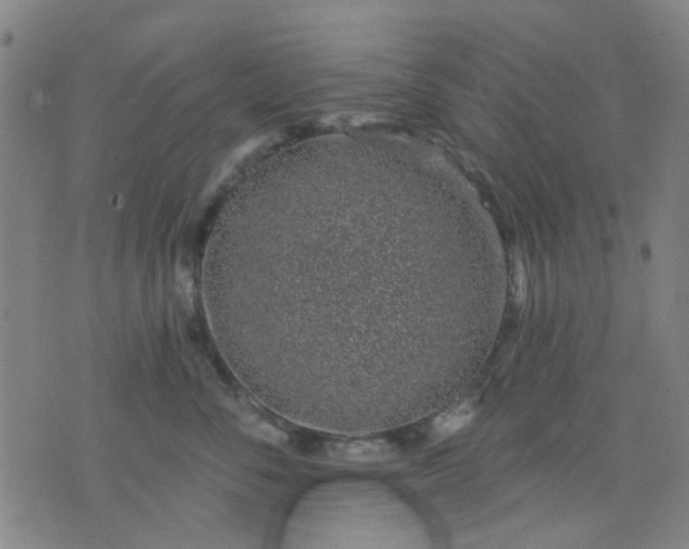 X0000076100716200610061706