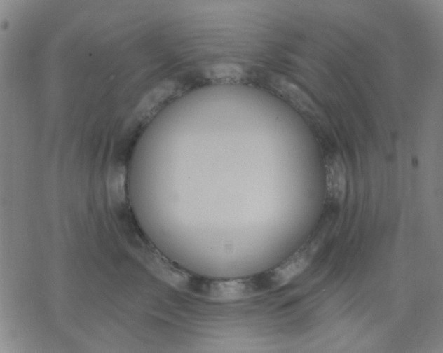 X0000076100717200610061706