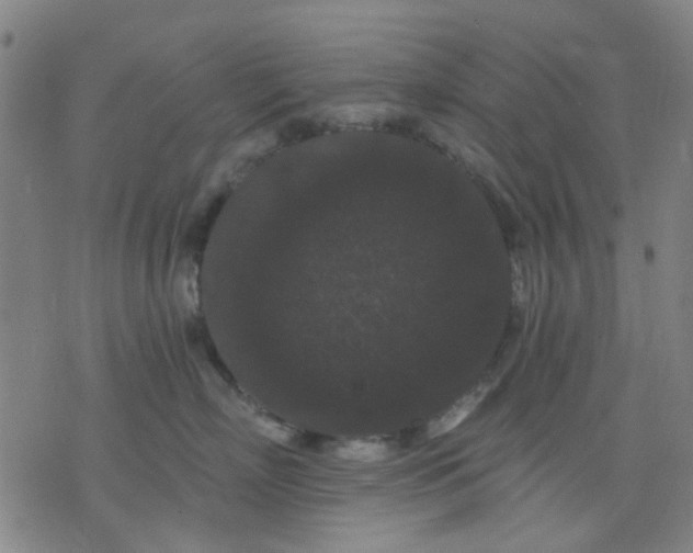 X0000076100718200610061706