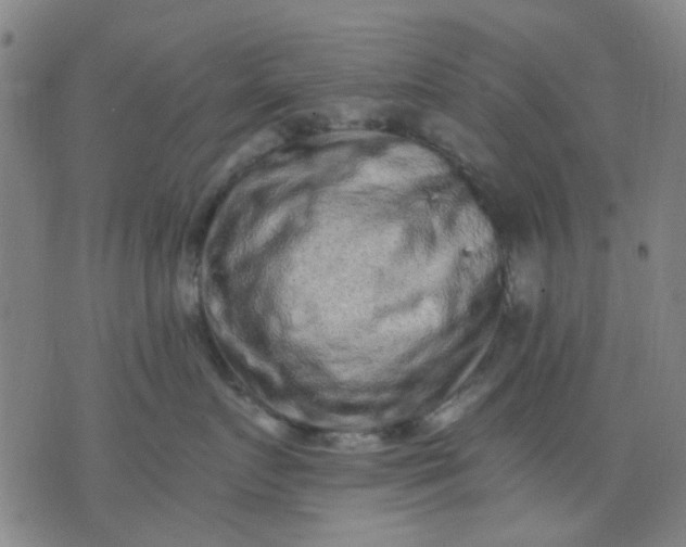 X0000076100719200610061706