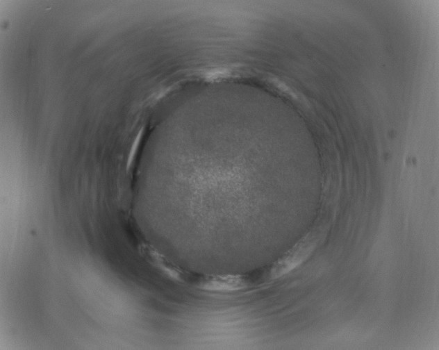 X0000076100720200610061706