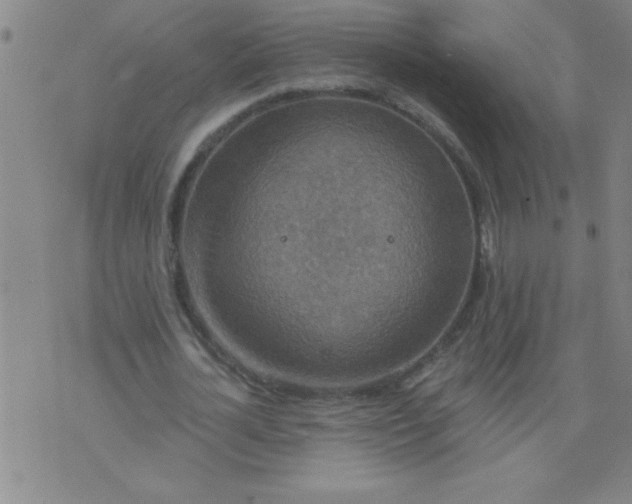 X0000076100724200610061706