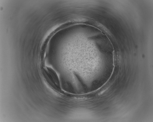 X0000076100726200610061706