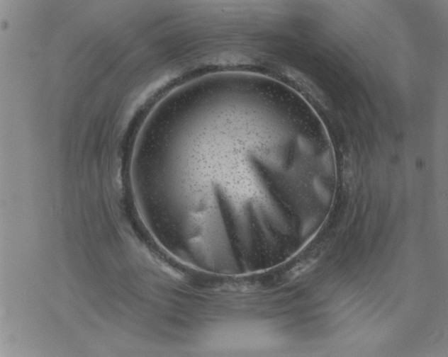 X0000076100727200610061706