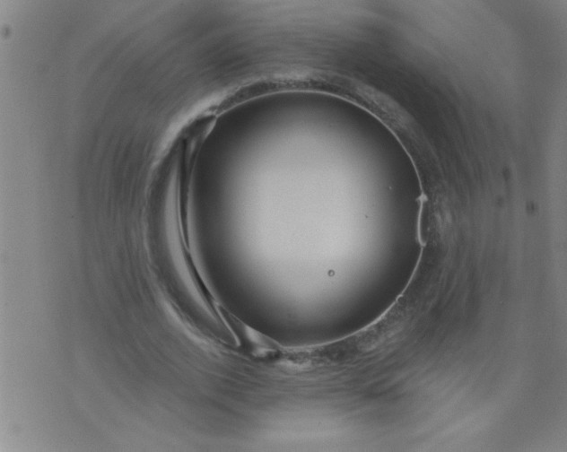 X0000076100728200610061706