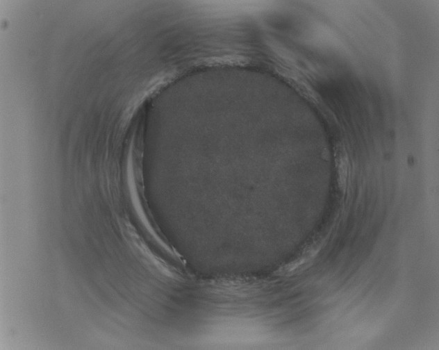 X0000076100729200610061706