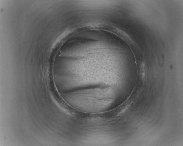 X0000076100730200610061706