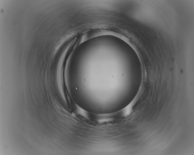 X0000076100731200610061706