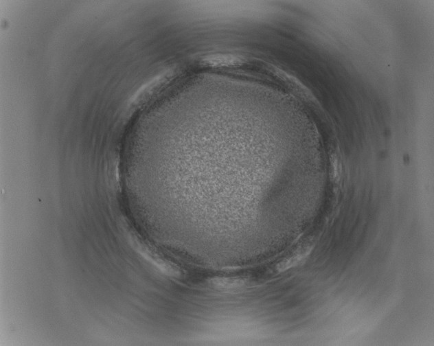 X0000076100733200610061706