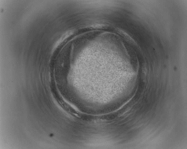 X0000076100734200610061706