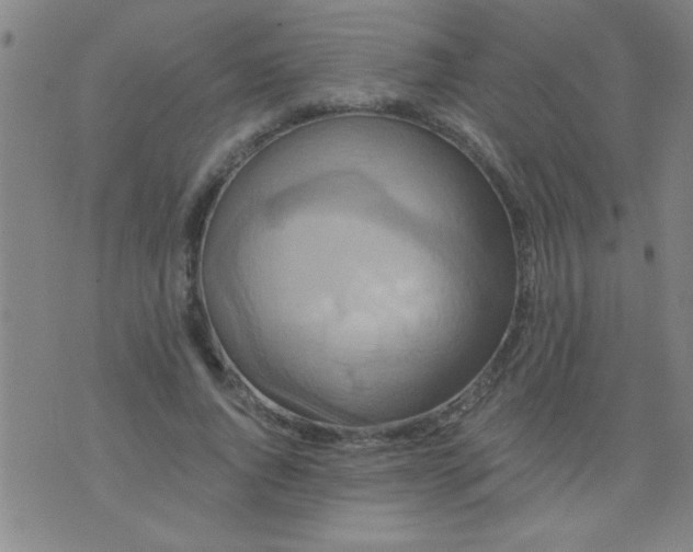 X0000076100736200610061706