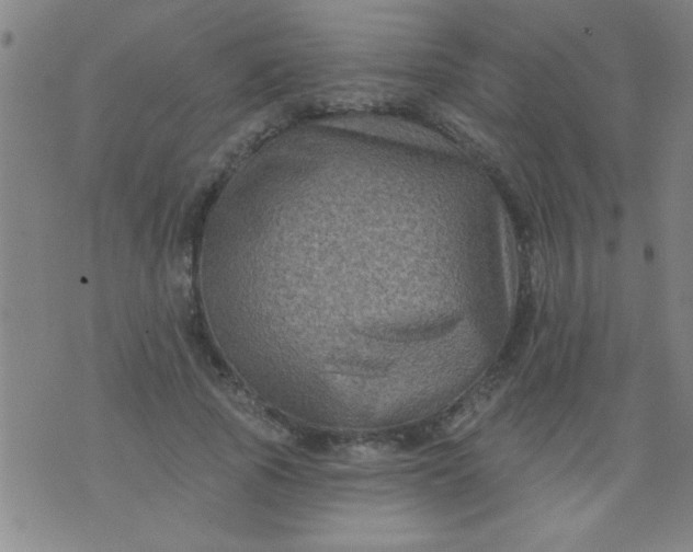 X0000076100737200610061706