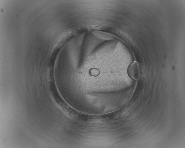 X0000076100738200610061706