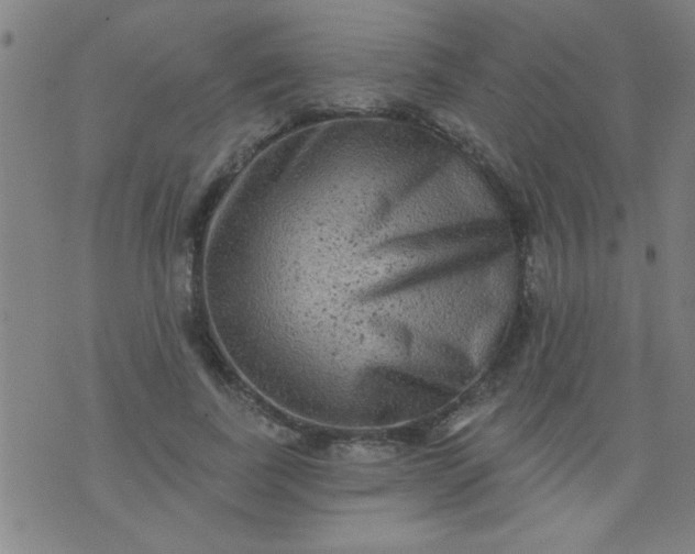 X0000076100739200610061706