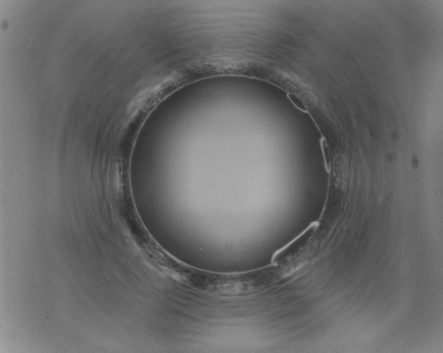 X0000076100740200610061706