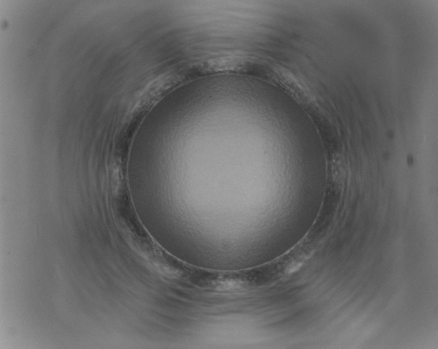 X0000076100741200610061706