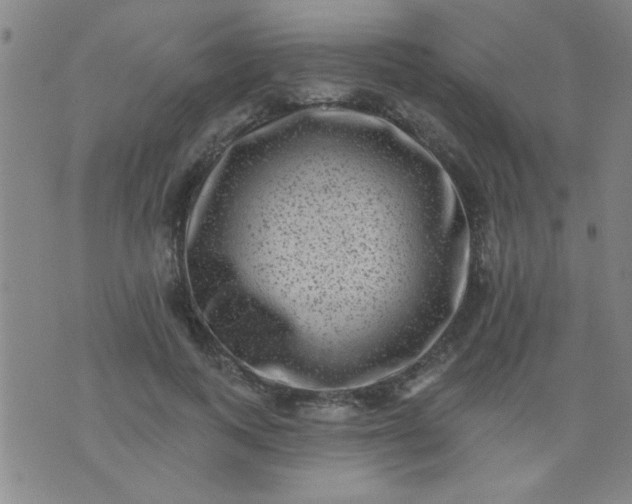 X0000076100743200610061706