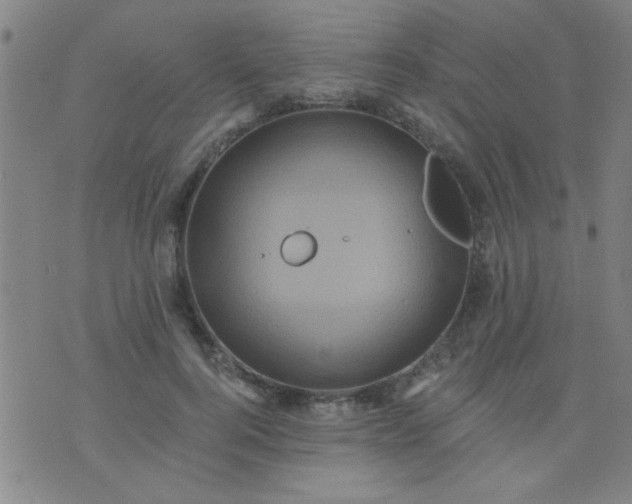 X0000076100744200610061706