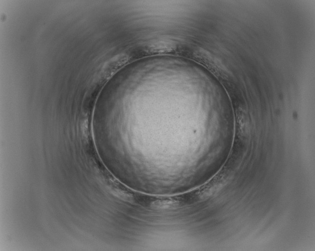 X0000076100745200610061706