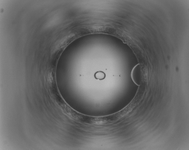 X0000076100746200610061706