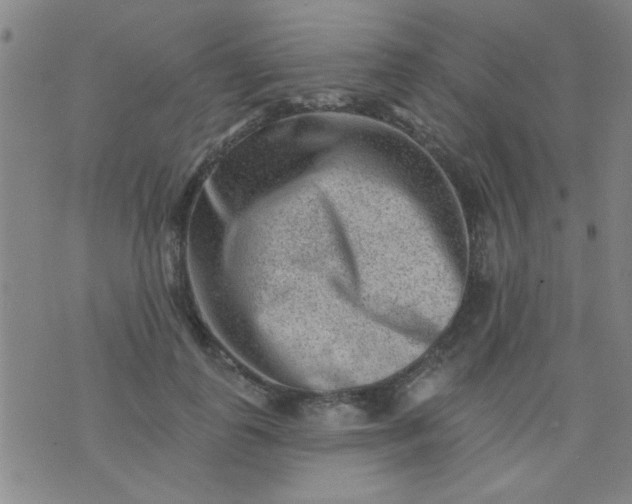 X0000076100747200610061706