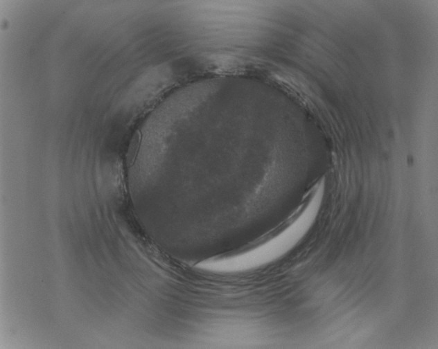 X0000076100748200610061706