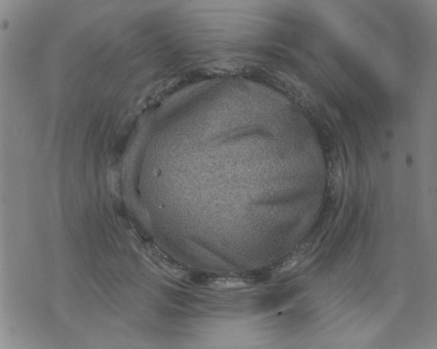 X0000076100749200610061706