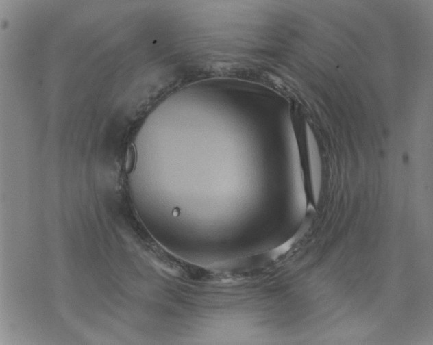 X0000076100750200610061706