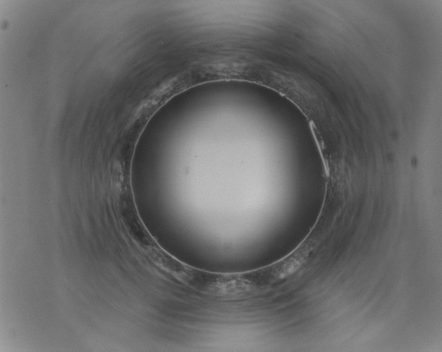 X0000076100752200610061706