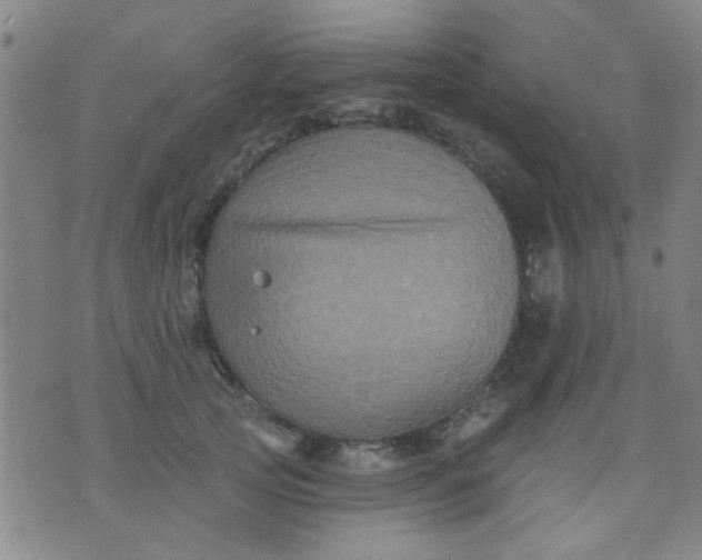 X0000076100753200610061706