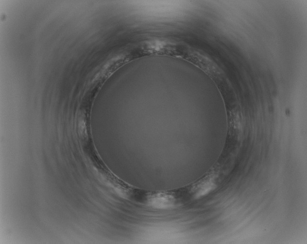 X0000076100754200610061706