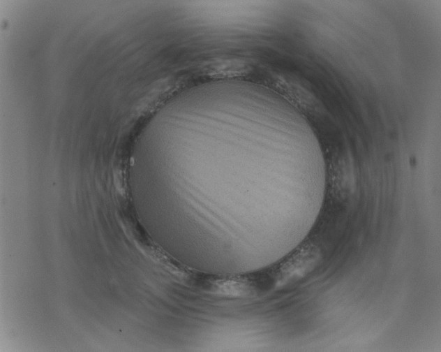 X0000076100755200610061706