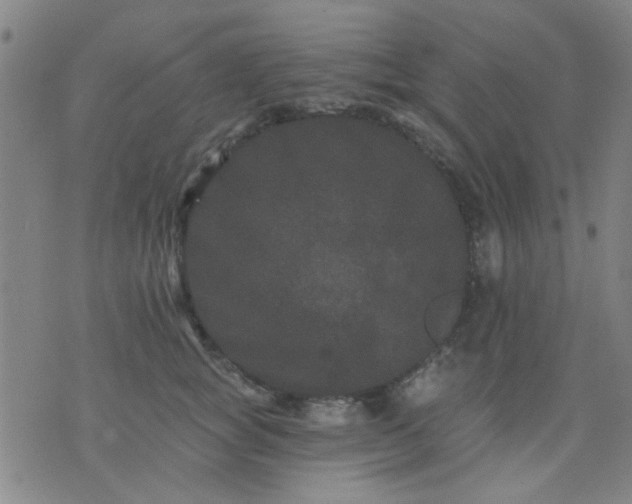 X0000076100757200610061706