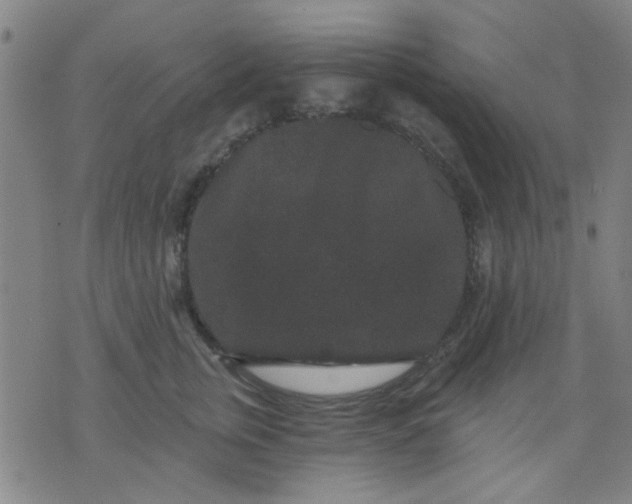 X0000076100759200610061706