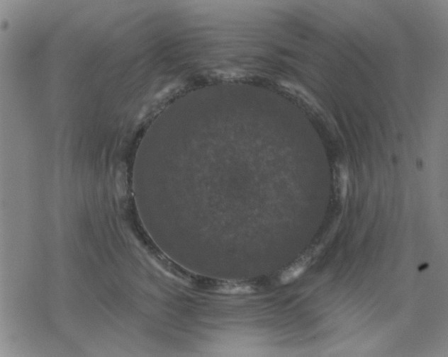 X0000076100760200610061706