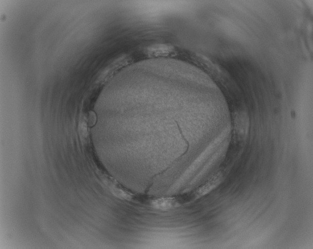 X0000076100761200610061706