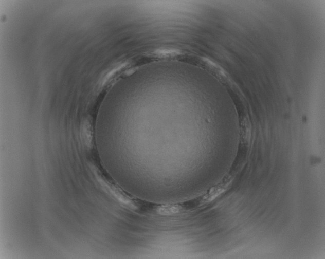 X0000076100762200610061706