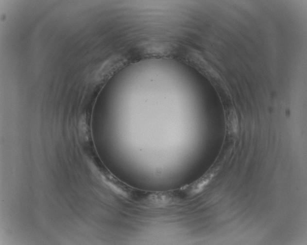 X0000076100764200610061706