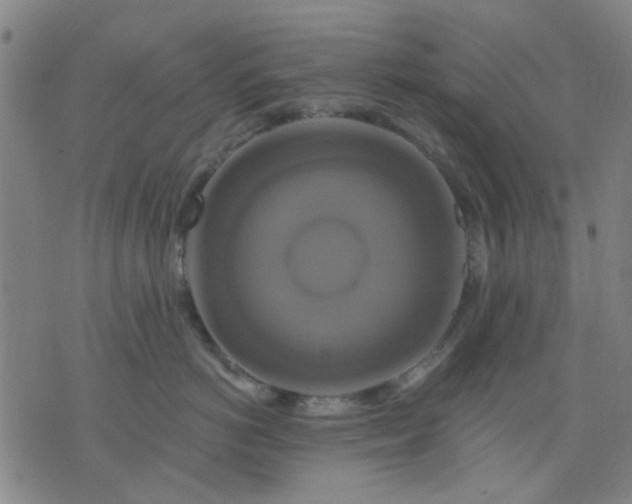 X0000076100766200610061706