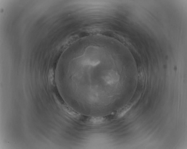 X0000076100767200610061706