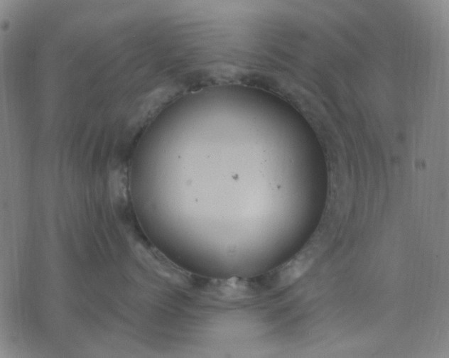 X0000076100768200610061706