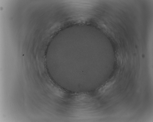 X0000076100769200610061706