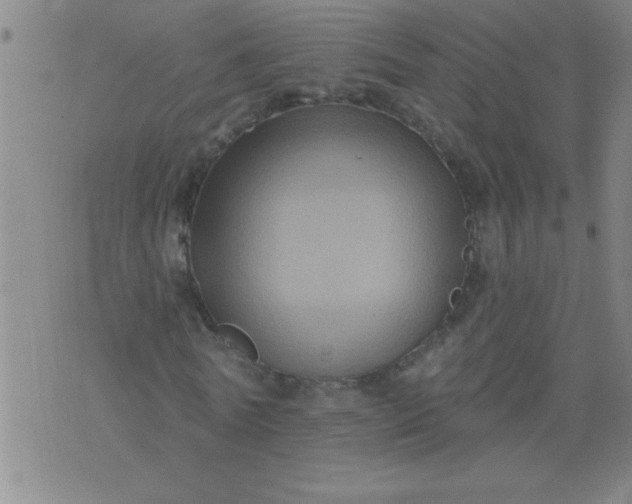 X0000076100770200610061706