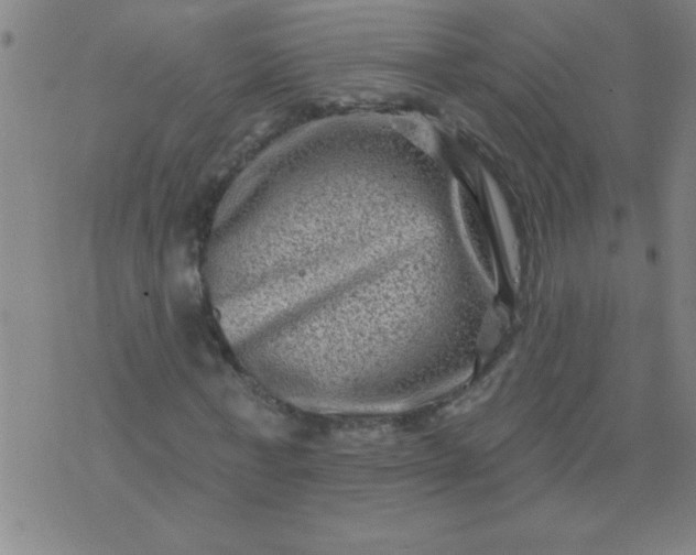 X0000076100771200610061706